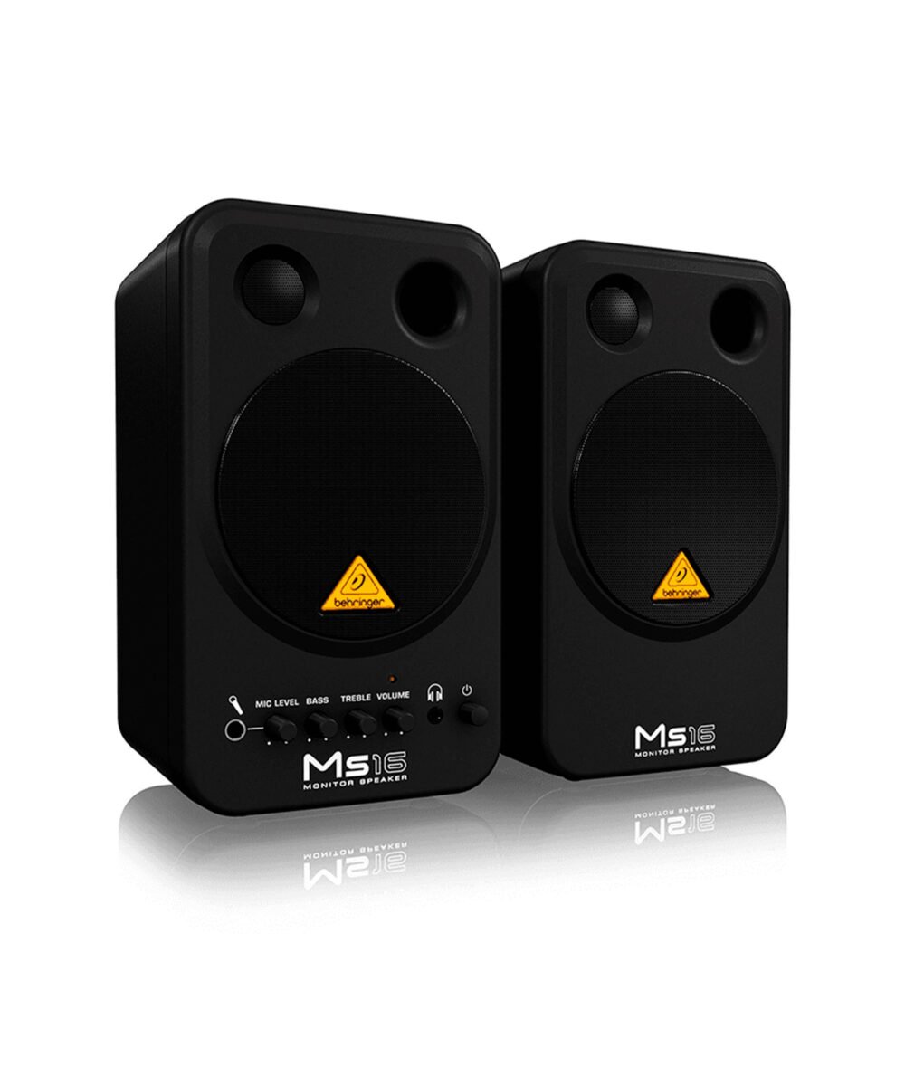 MS16 BEHRINGER WEB 01 scaled