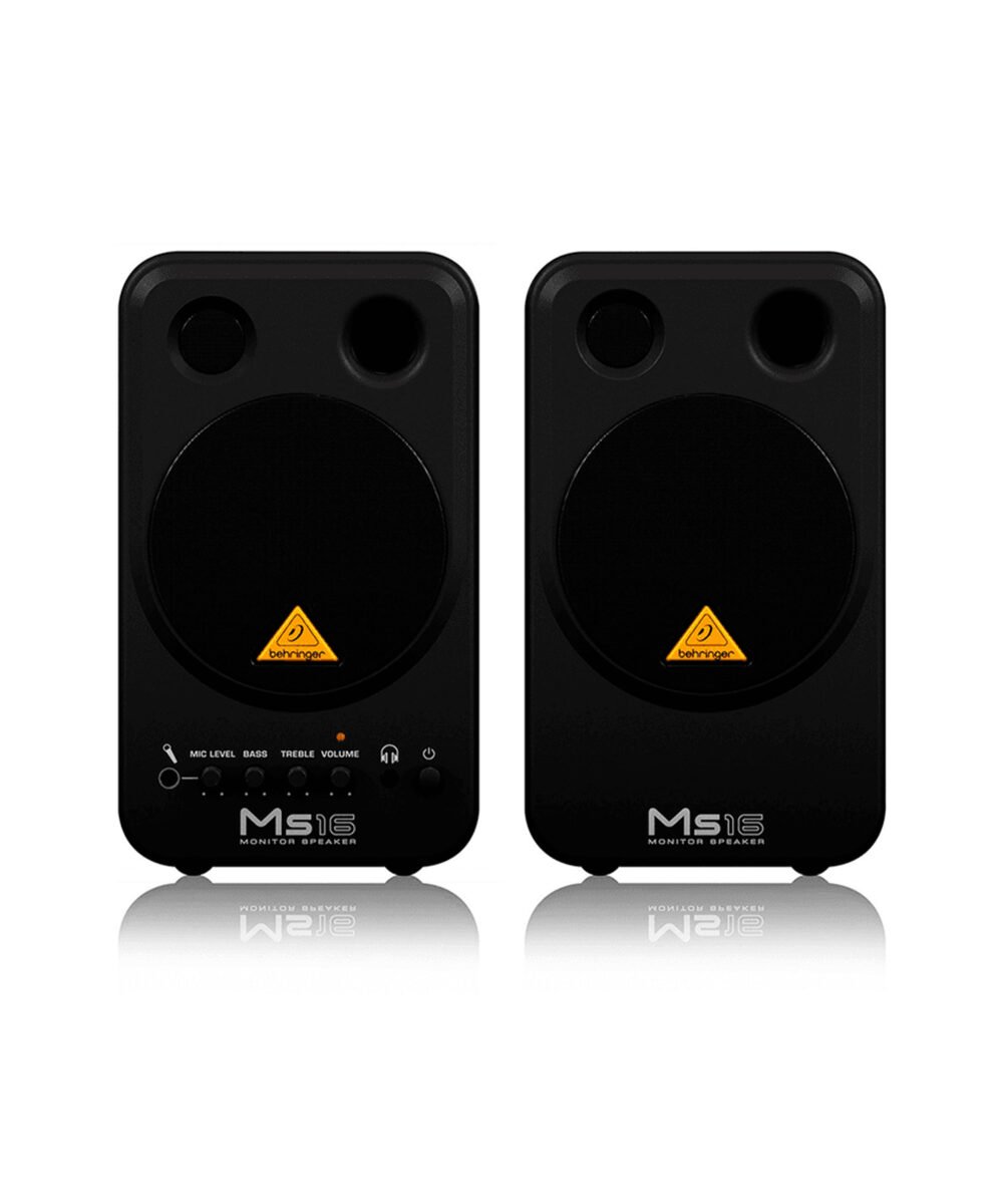 MS16 BEHRINGER WEB 02 scaled