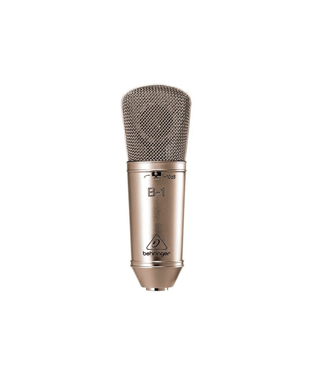 B 1 BEHRINGER WEB 02 scaled