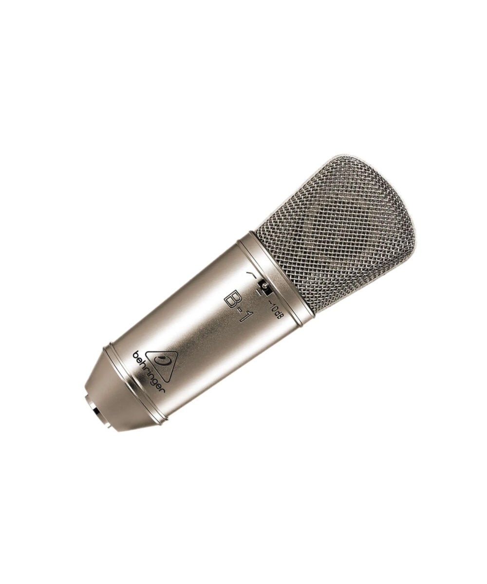 B 1 BEHRINGER WEB 03 scaled