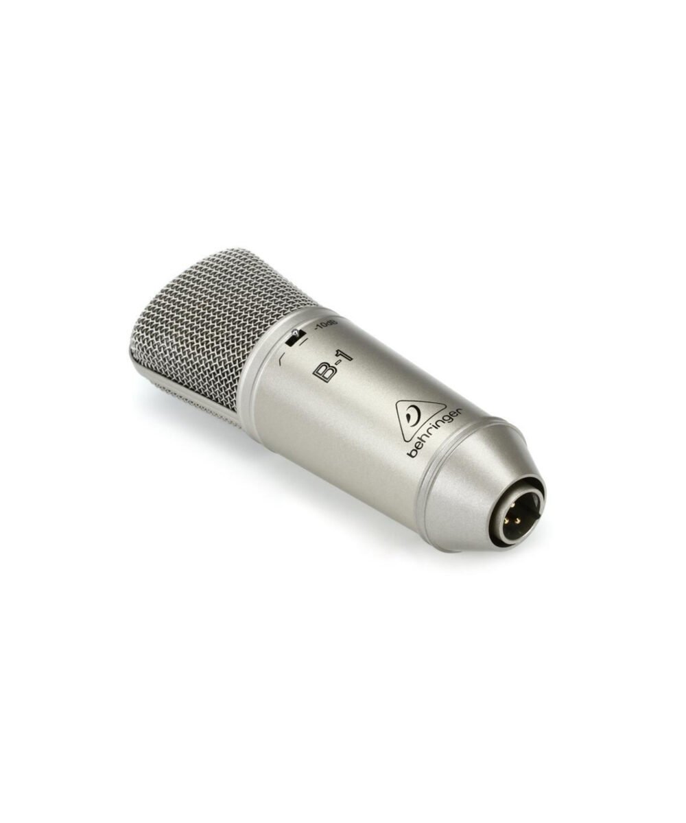 B 1 BEHRINGER WEB 04 scaled