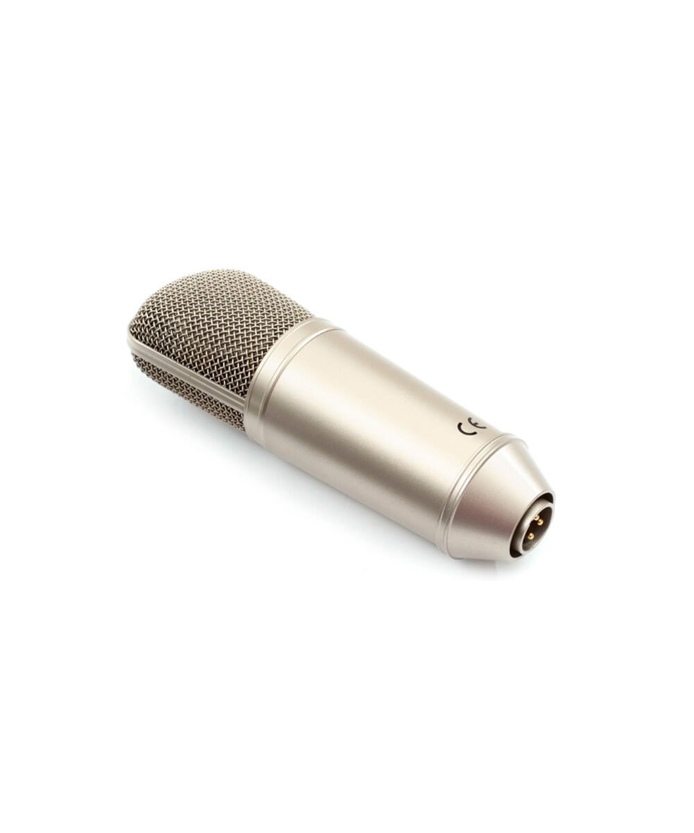 B 1 BEHRINGER WEB 05 scaled